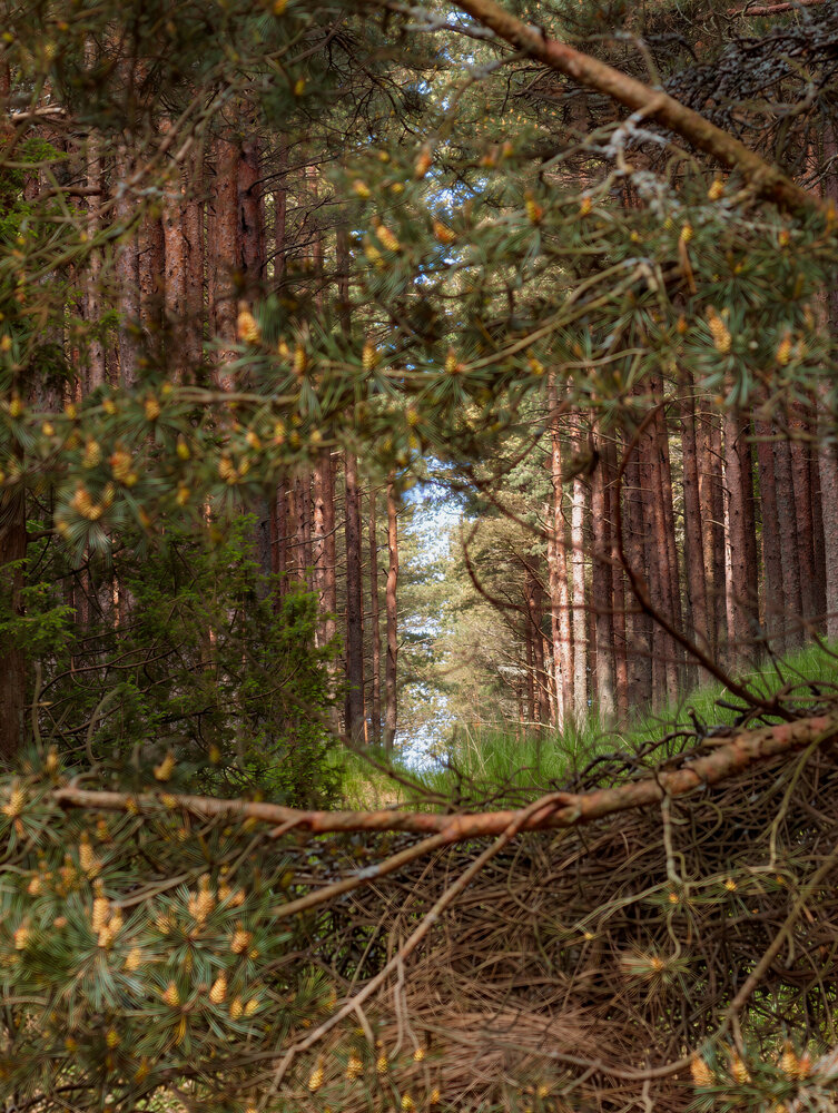 Photograph by Евгений Порсов