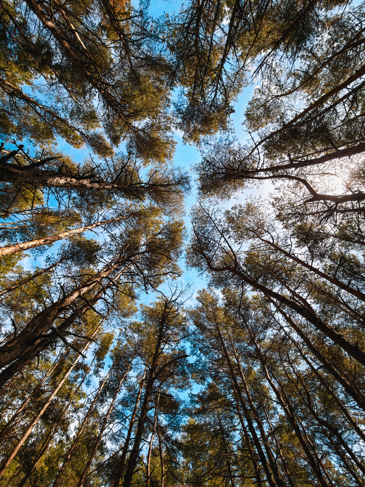 Photograph by Евгений Порсов