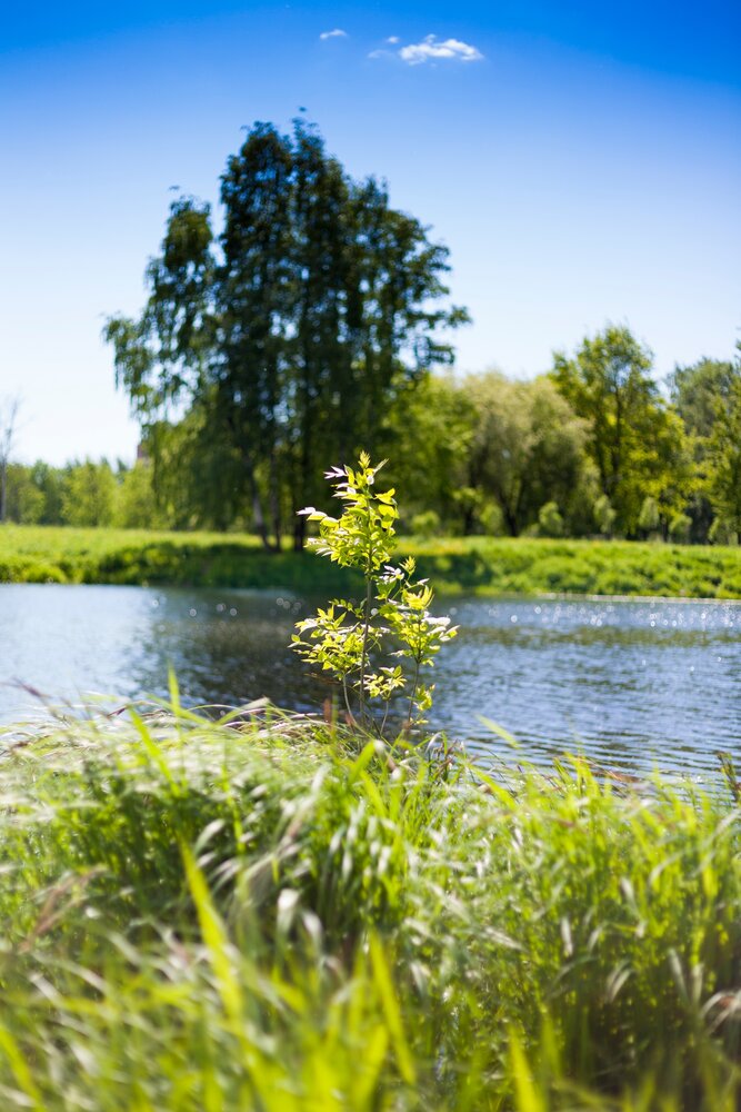 Photograph by Александр Юрьевич С