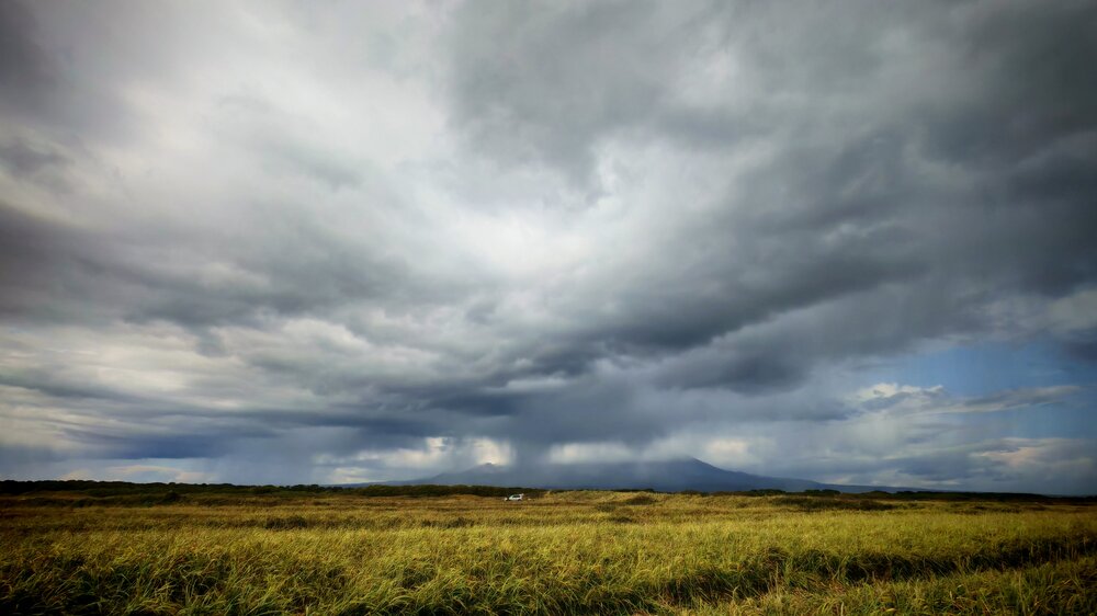 Photograph by Оксана О.