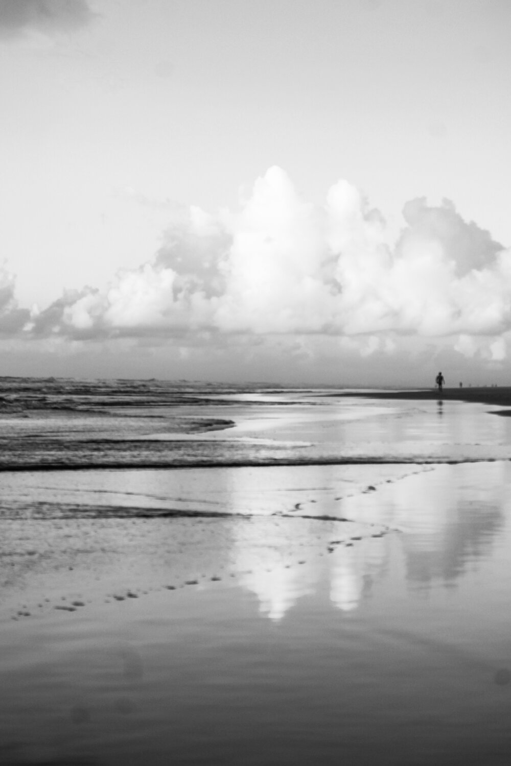 Photo #13770134
