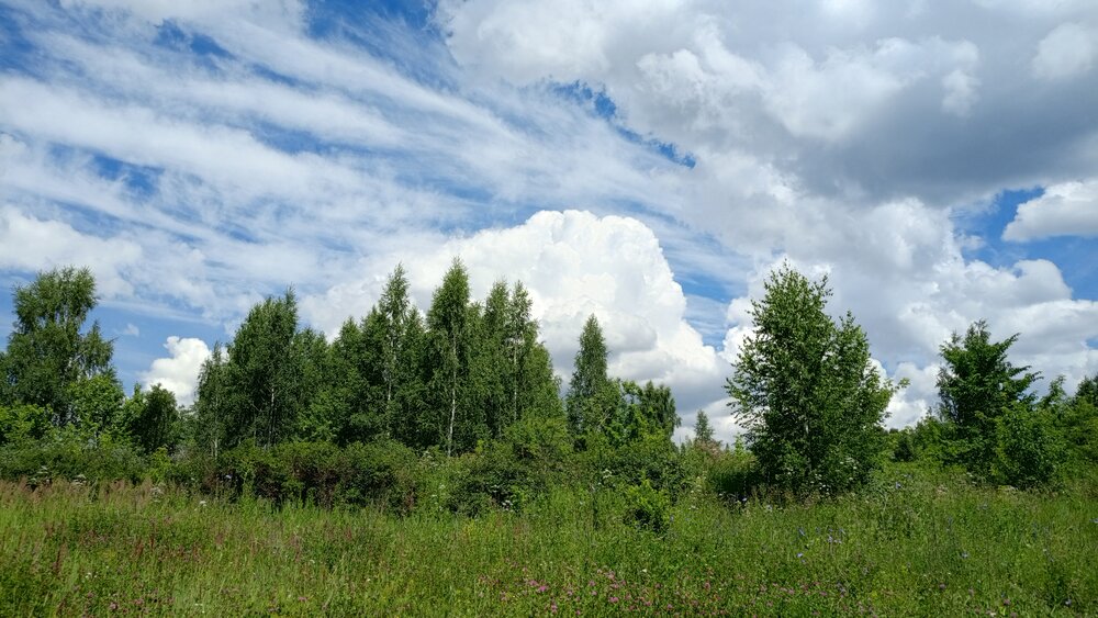 Photo #13770168
