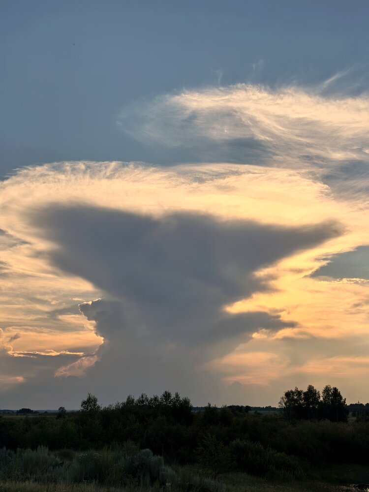 Photograph by Анна Якубинас