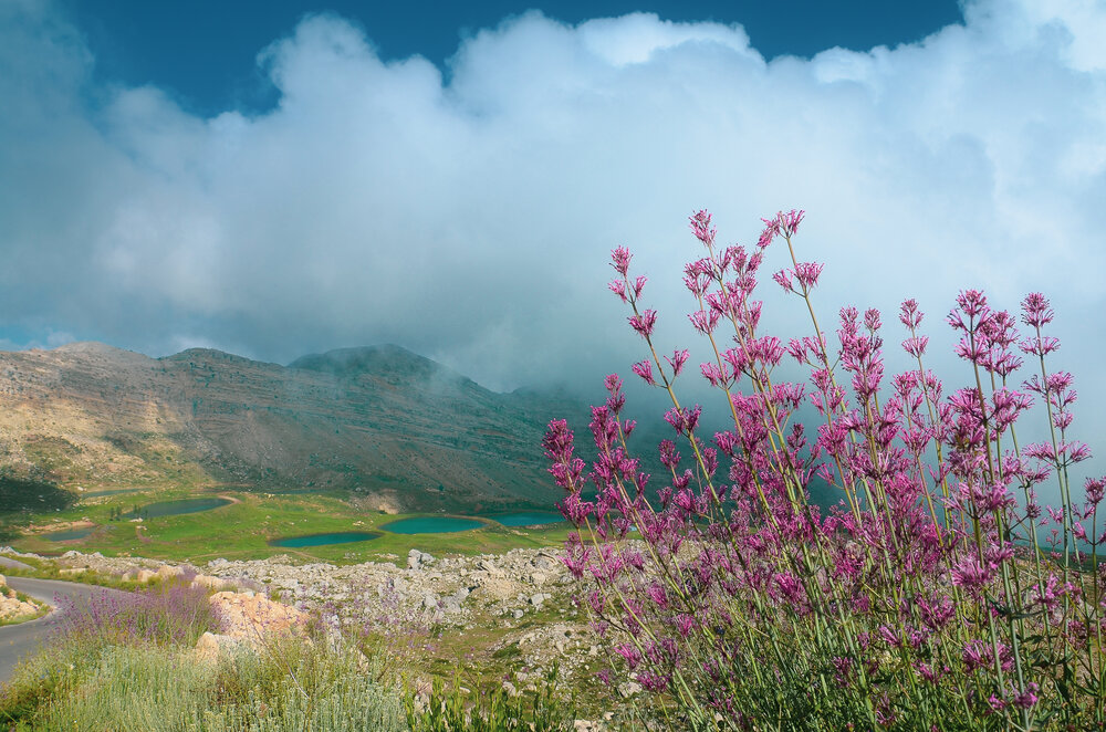 Photograph by Seif Samer