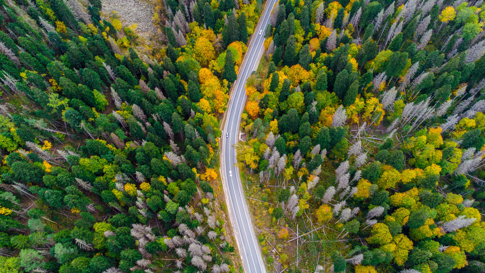 Photograph by Иван Губский