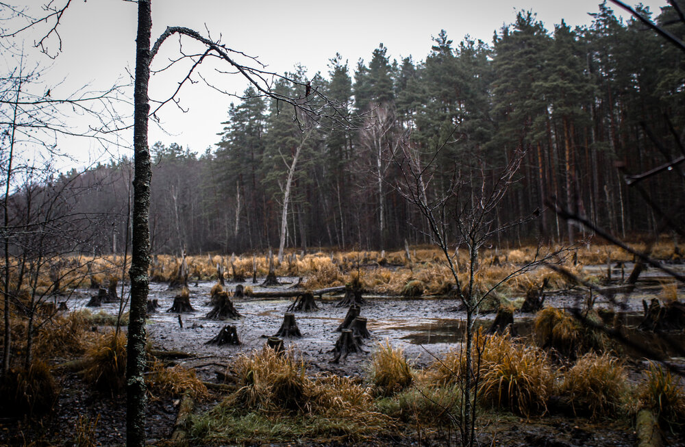 Photograph by Евгения Флиорчук