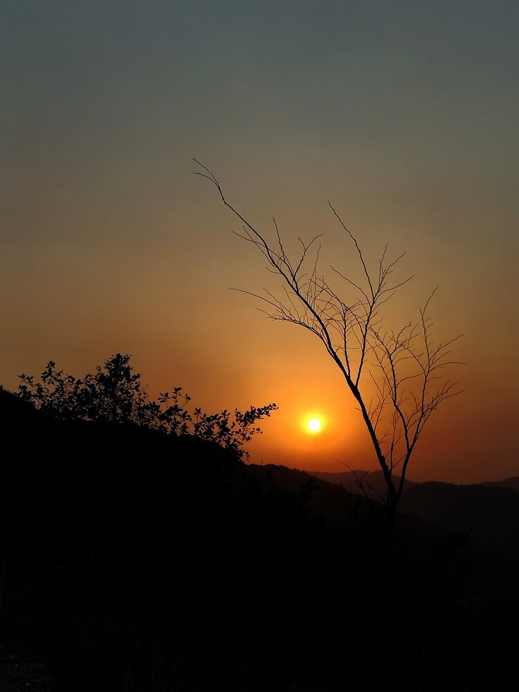Sunset