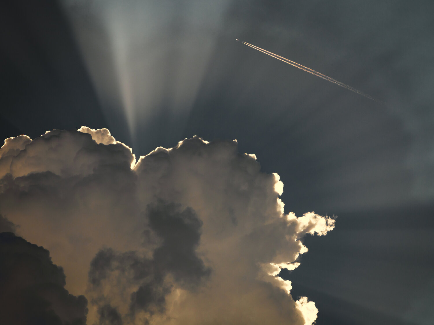Photo #13770330