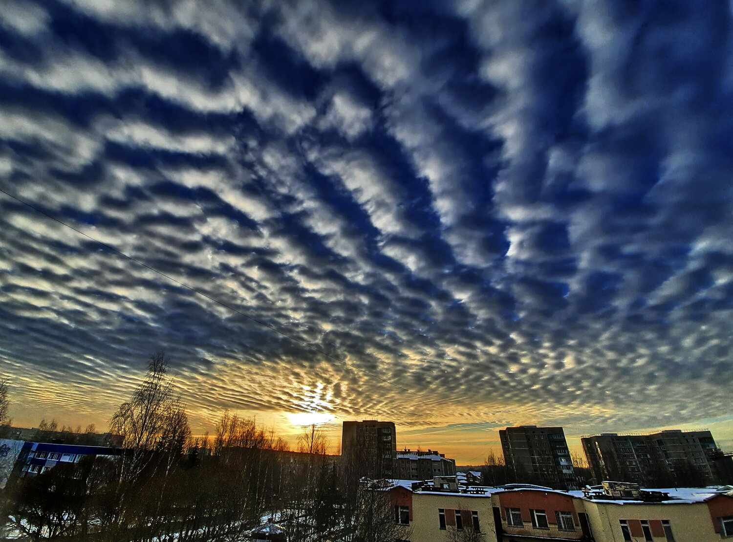 Photo #13770347