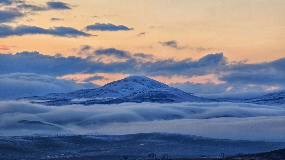 Photograph by Samane Naji