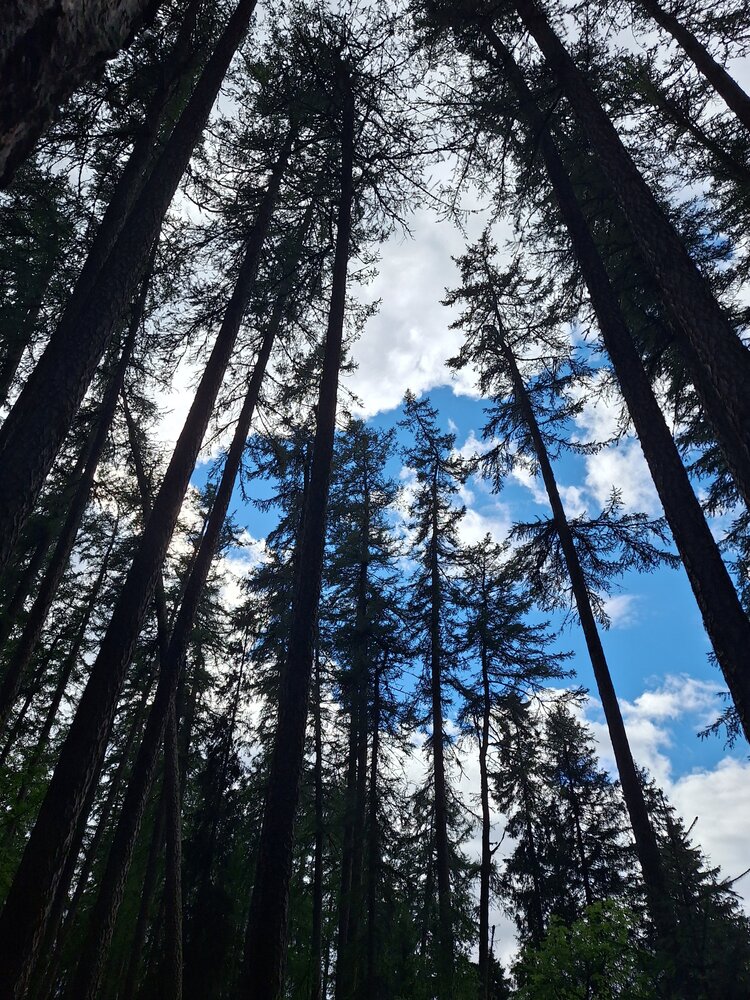 Photograph by Ольга Мольдон