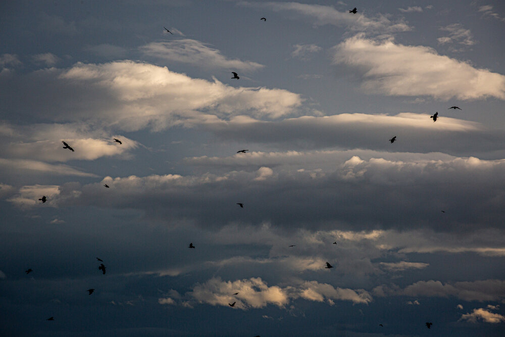 Photograph by Дмитрий Конкин