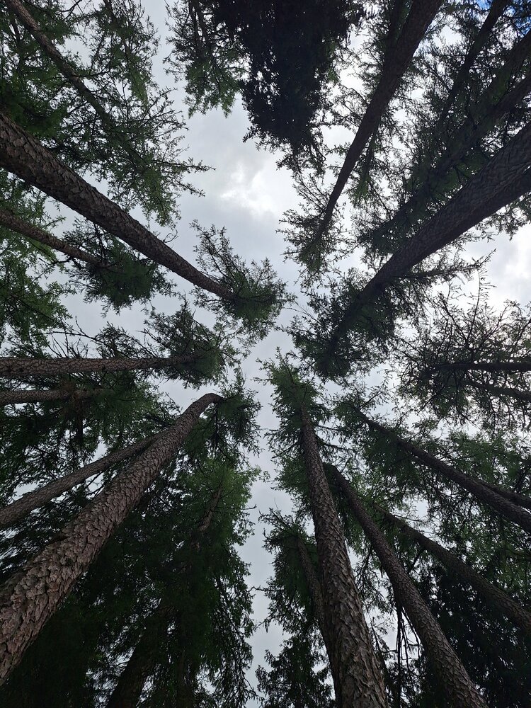 Photograph by Ольга Мольдон
