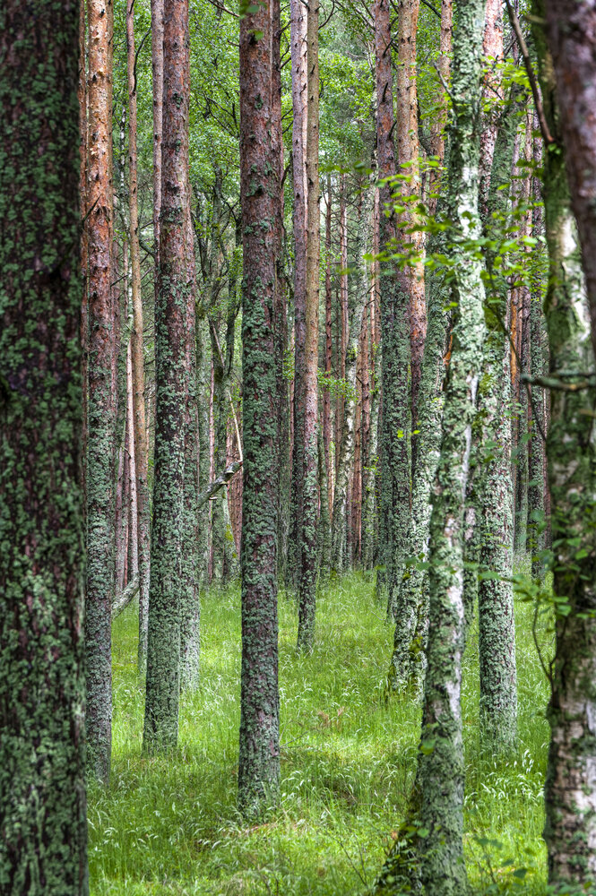 Photograph by Александр Шульга