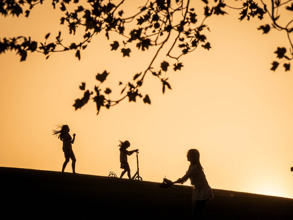Photograph by Gunma No UMA