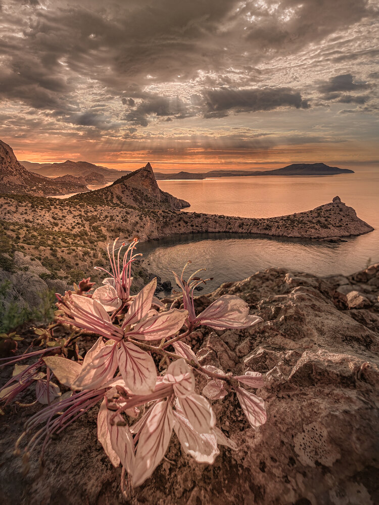Photograph by Александр Разумов