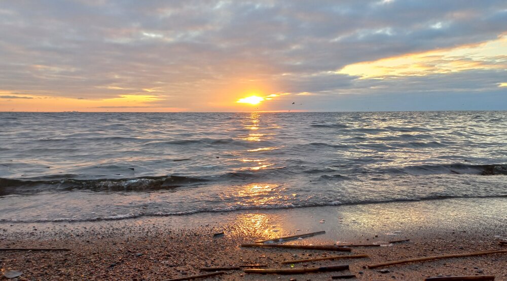 Photograph by Снежана Иванова