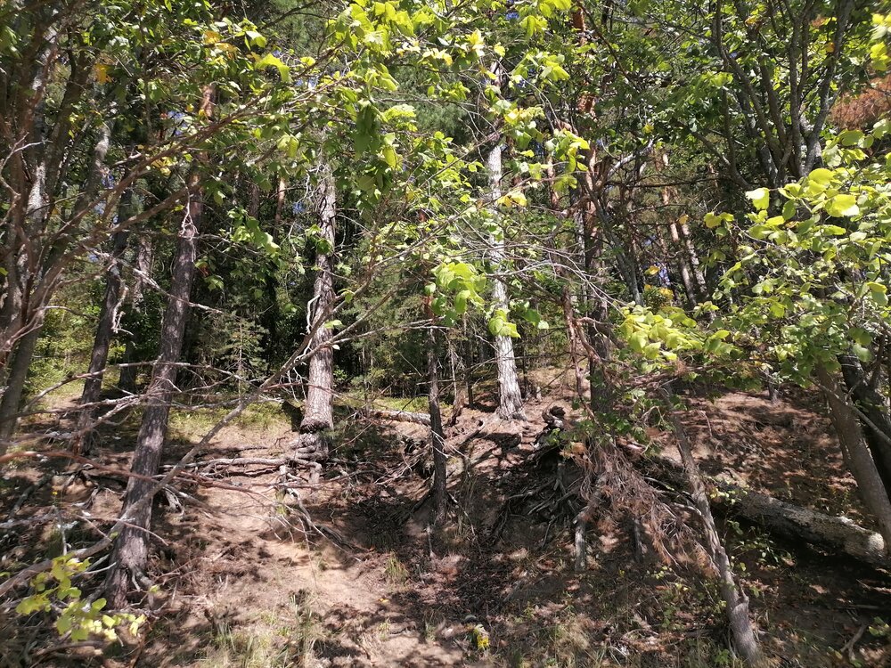 Photograph by Ольга Шабалина