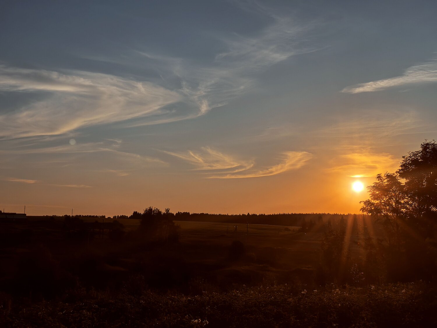 Photo #13770586