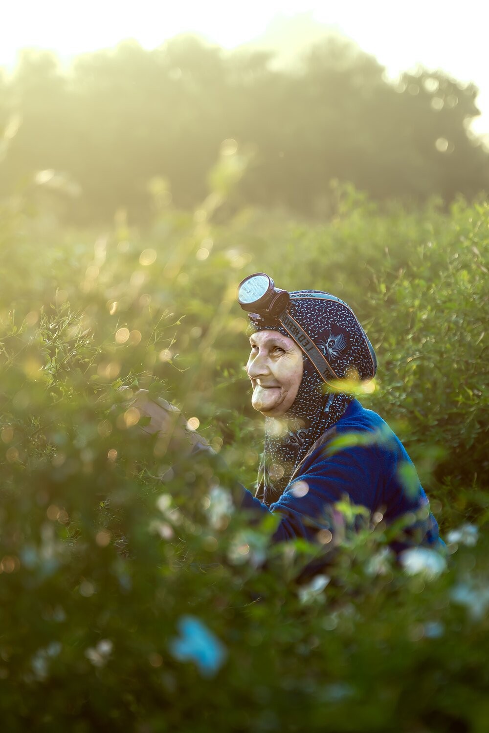 A Smile That Blooms at Dawn