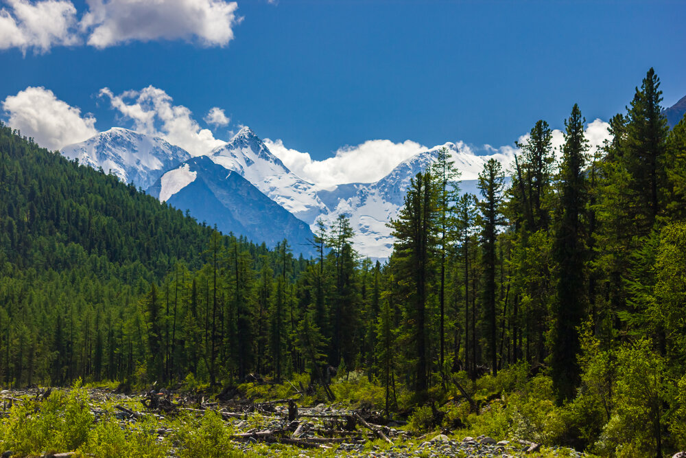 Photograph by Алексей Соколов