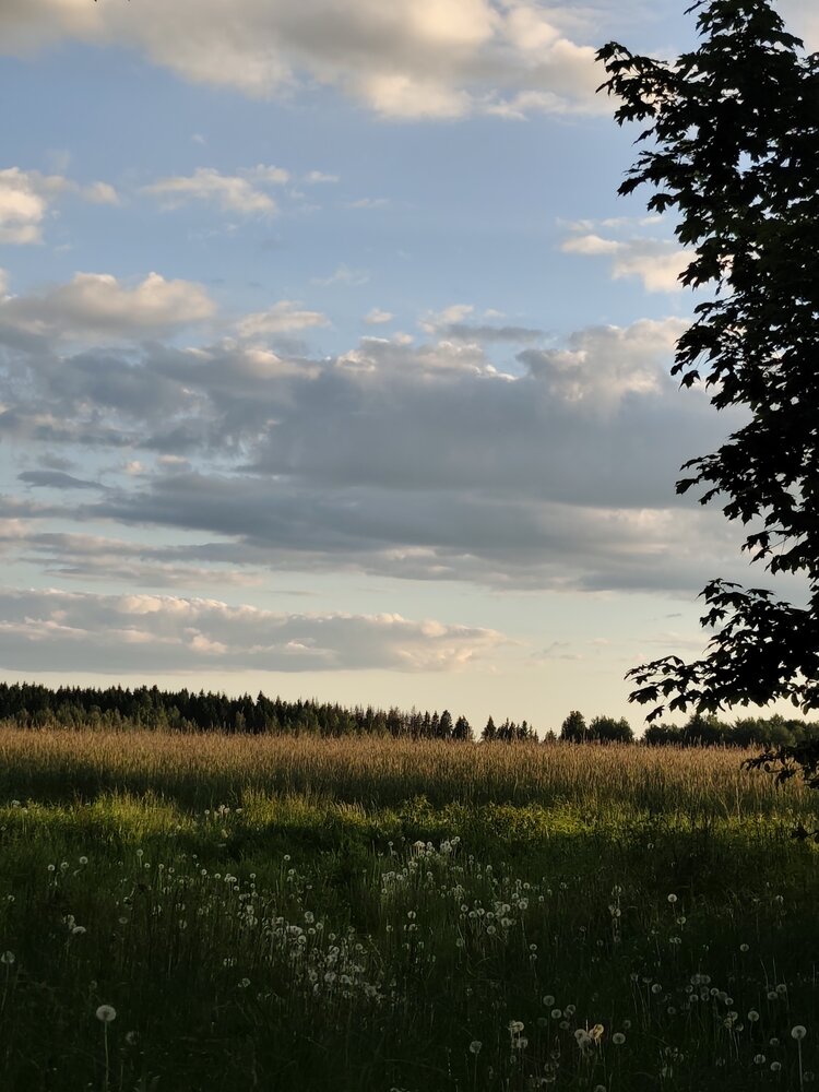 Photo #13770875