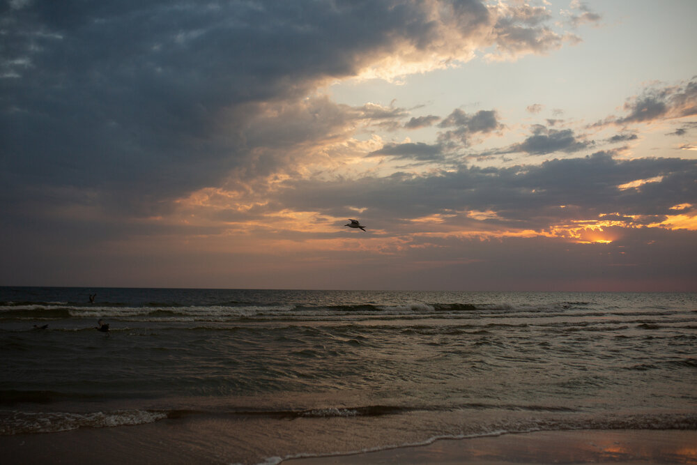 Photograph by LIUDMILA BABROUSKAYA