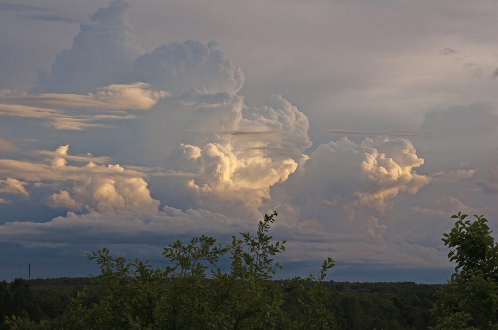 Photograph by Денис Колесников