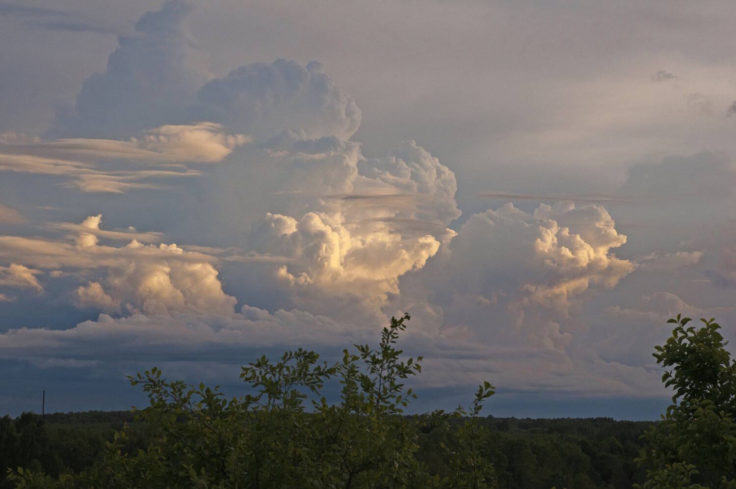 Photo #13770982