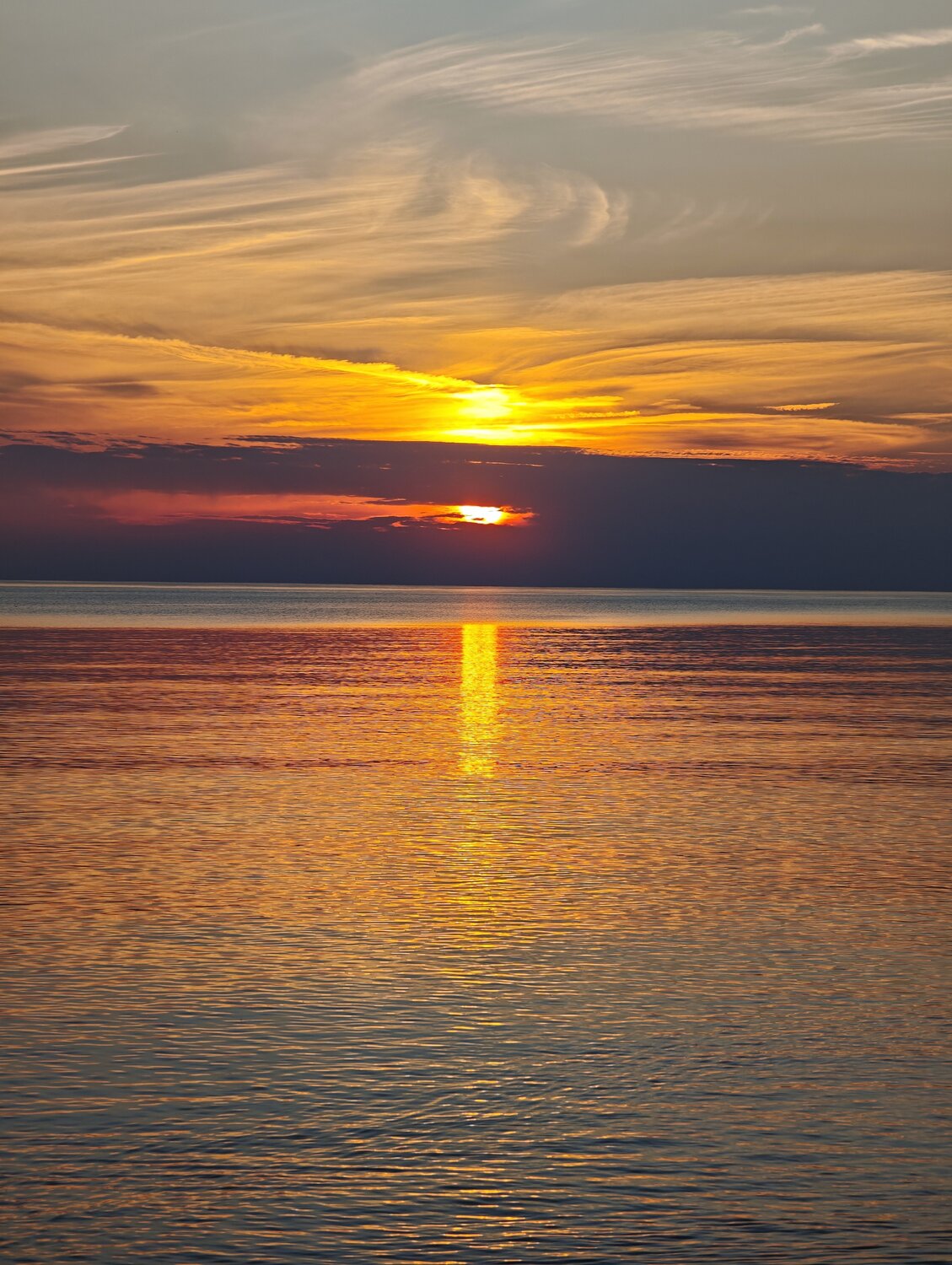 Photo #13771056