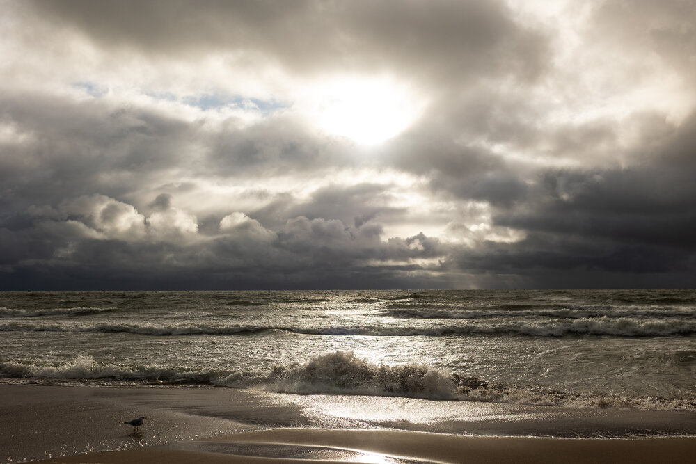 Photograph by LIUDMILA BABROUSKAYA