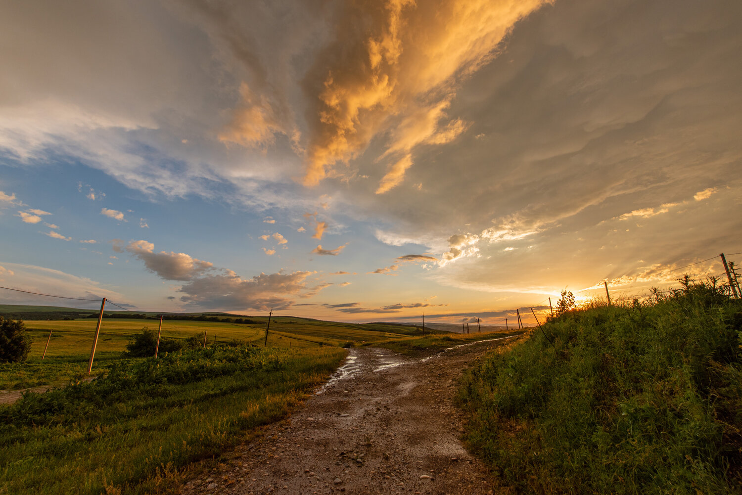 Photo #13771126