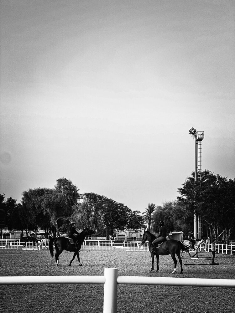 The Quiet before canter