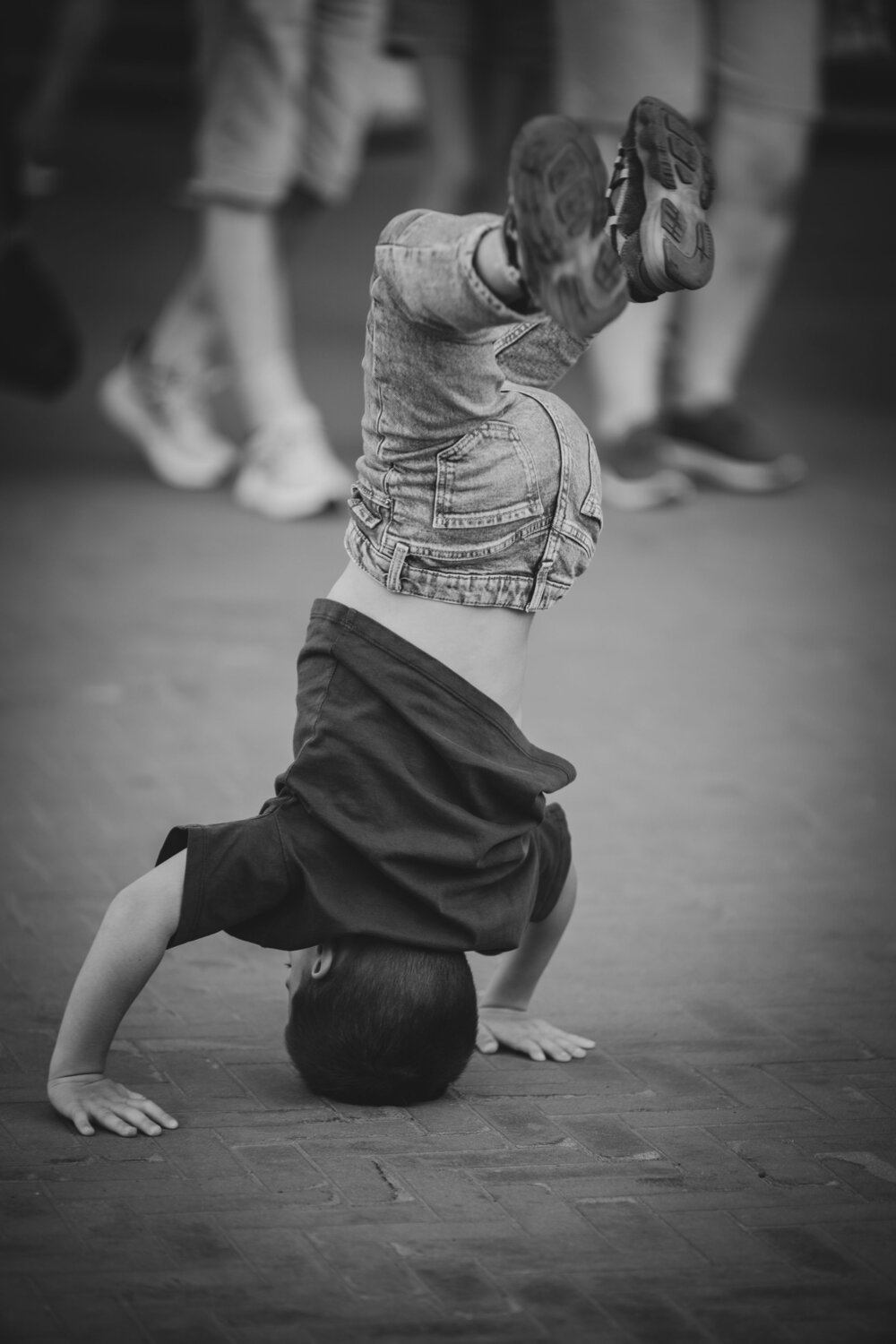 Photo #13771143