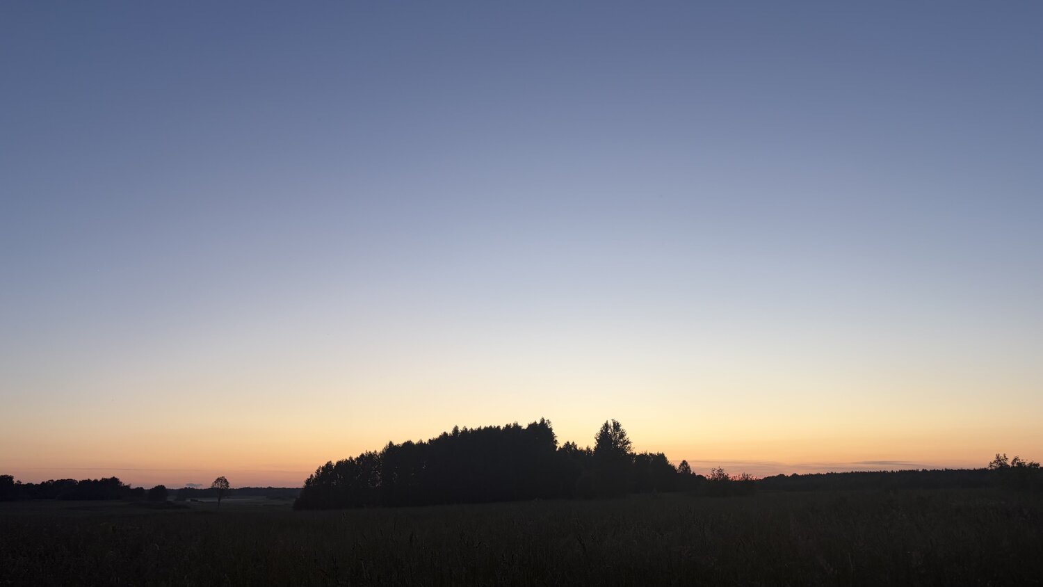Photo #13771223
