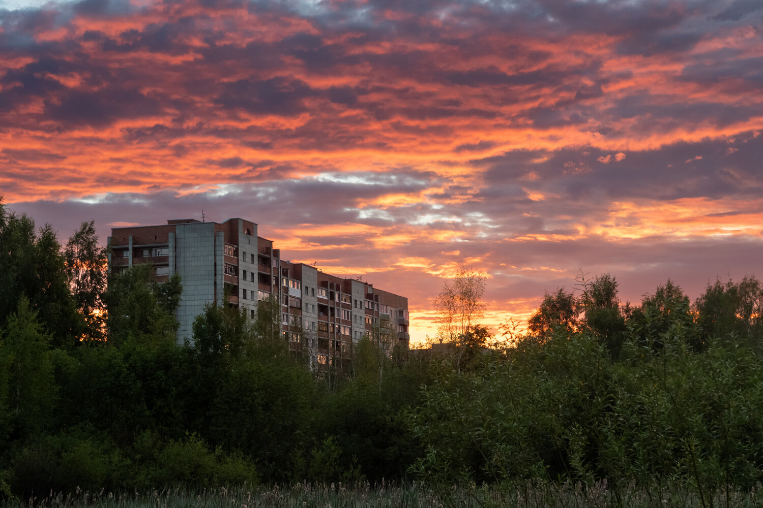 Photo #13771293