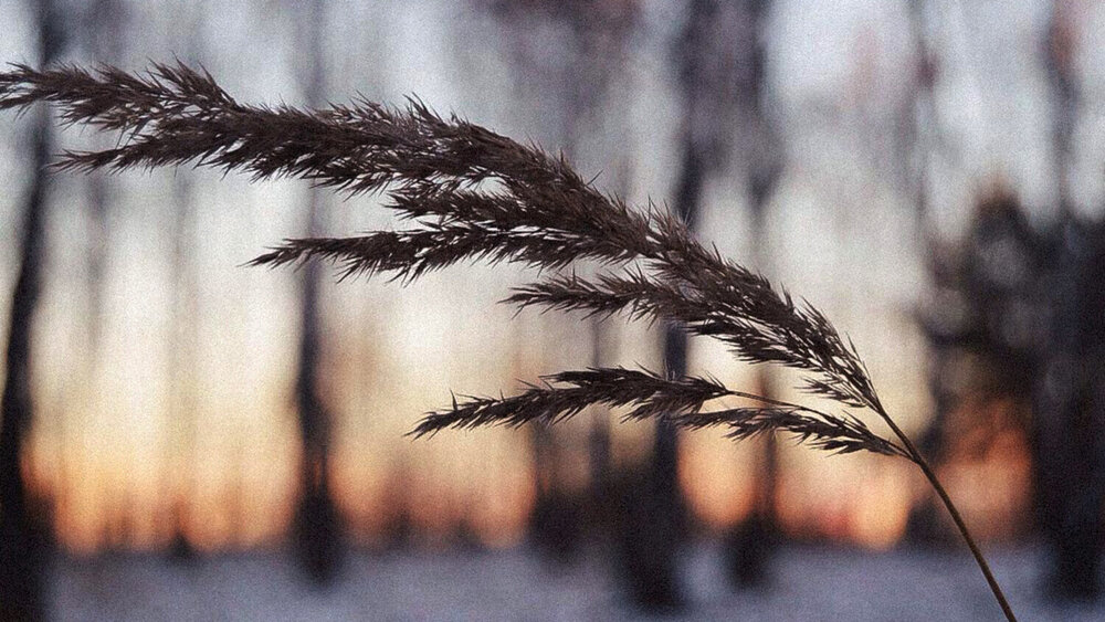 Фотография автора Алена Баулина