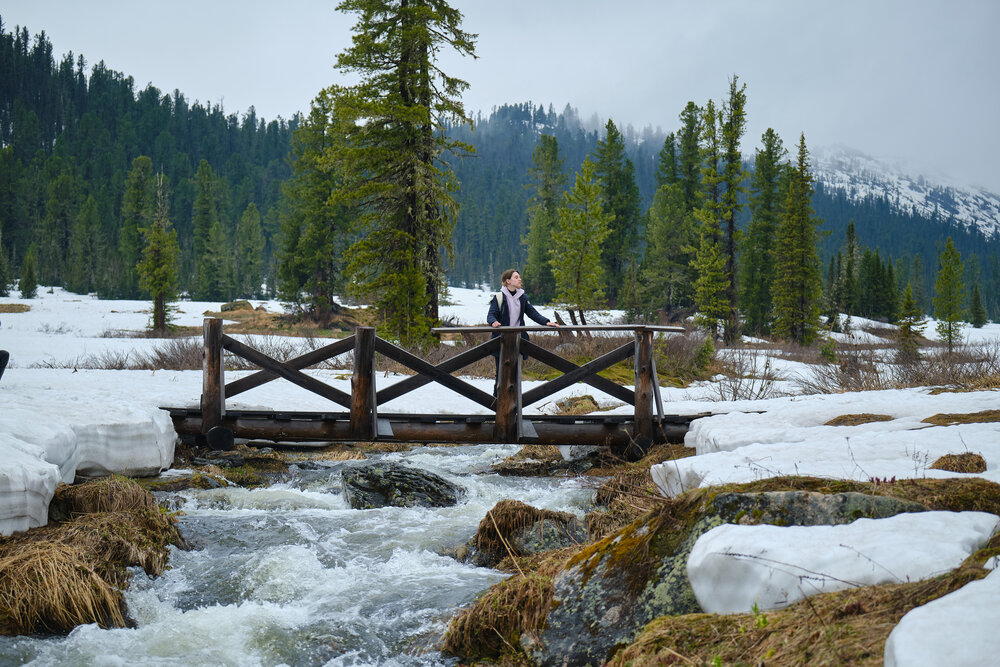 Photo #13771327