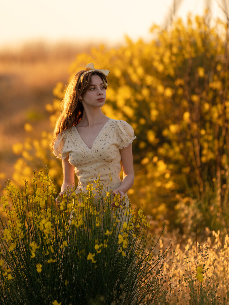 Photograph by Александра Погребняк