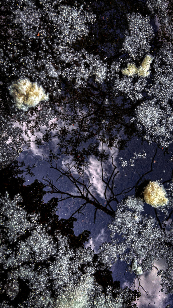 Photograph by Евгений Фисун