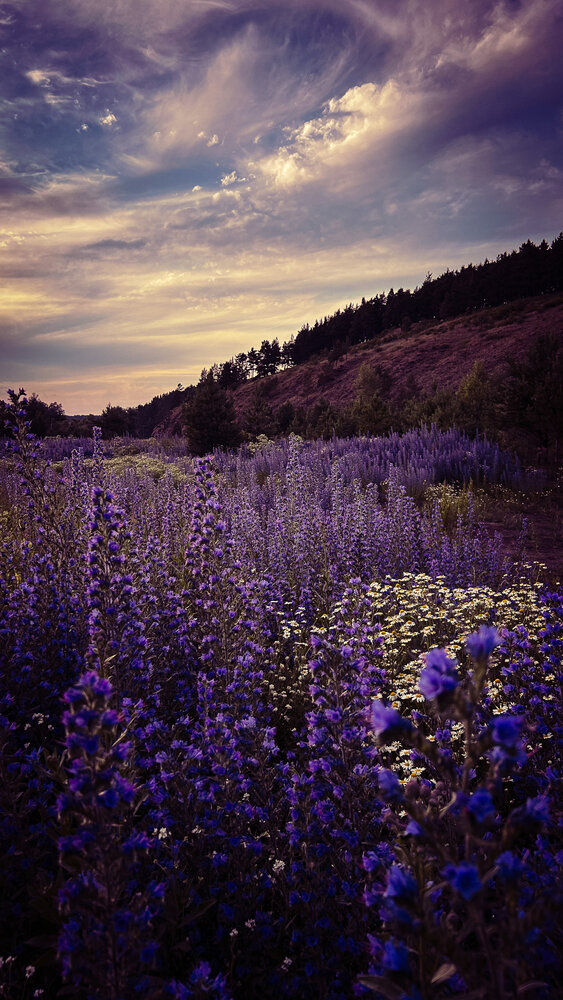 Photograph by Евгений Фисун