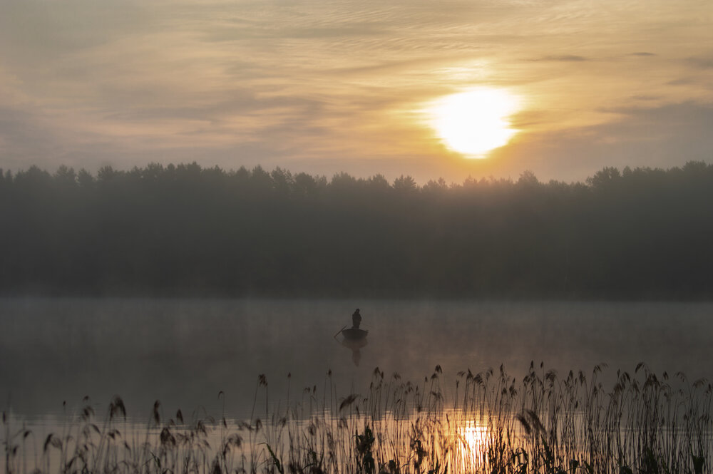 Photograph by Елена Кошелева