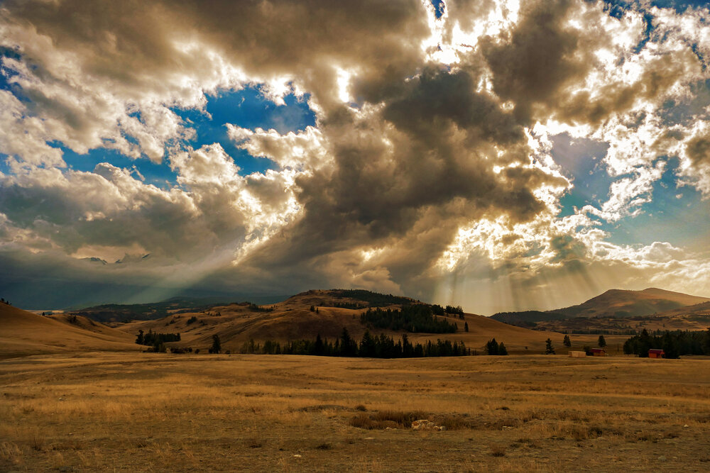 Photograph by Ольга Калимулина