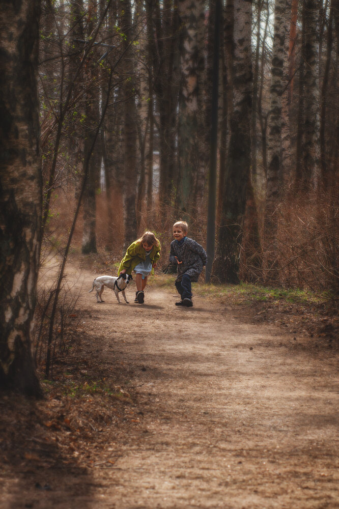 Photograph by Алла Андреева