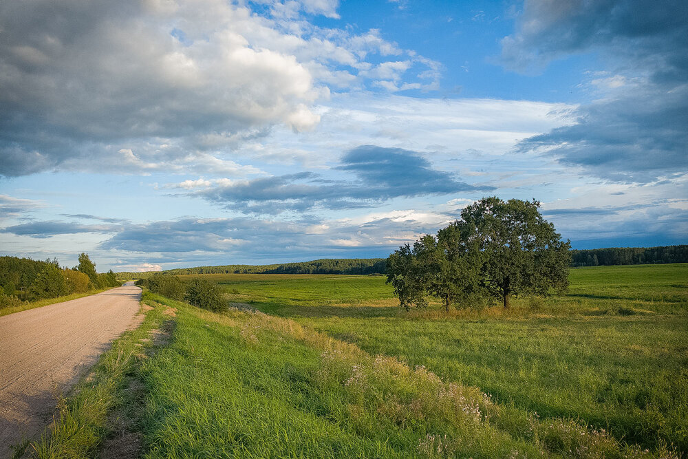 Photograph by Войтко Александр