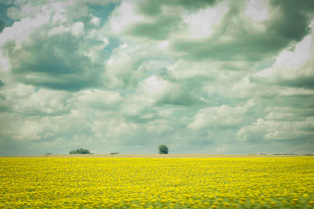 Photograph by Boyana Borisova