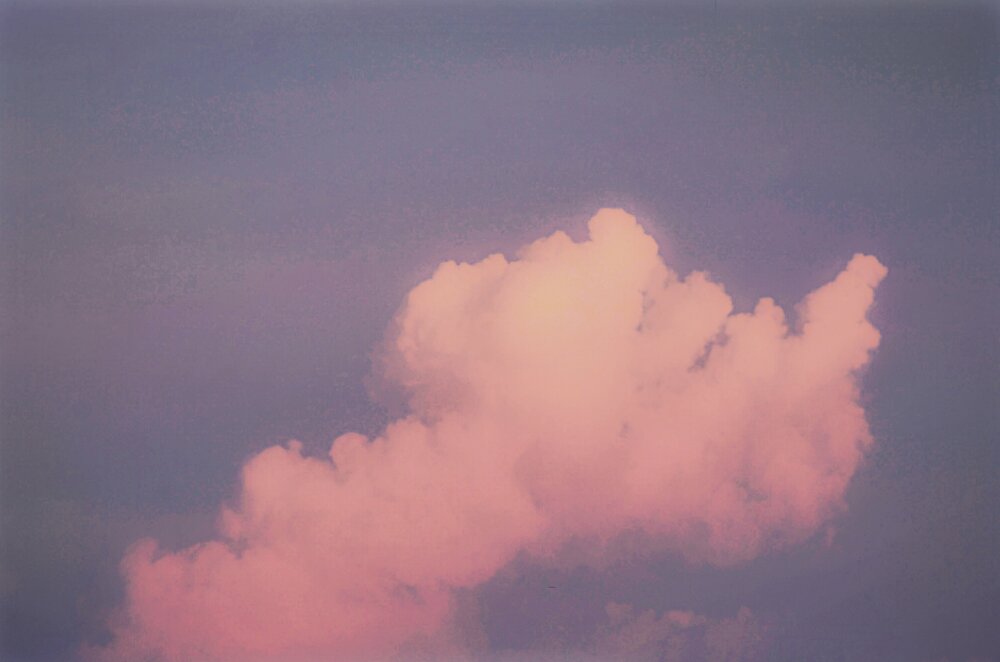 Photo #13771912
