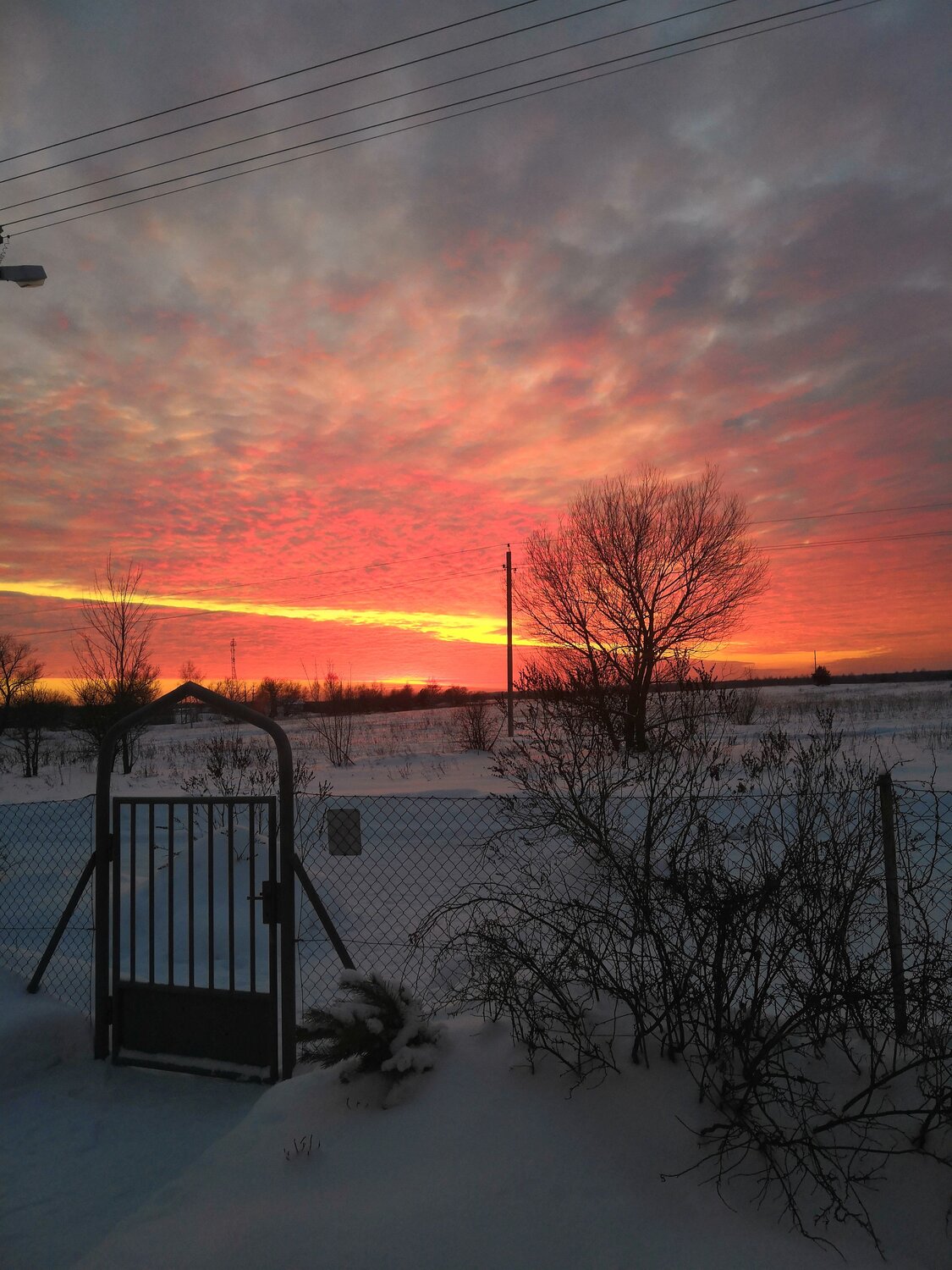 Photo #13771918