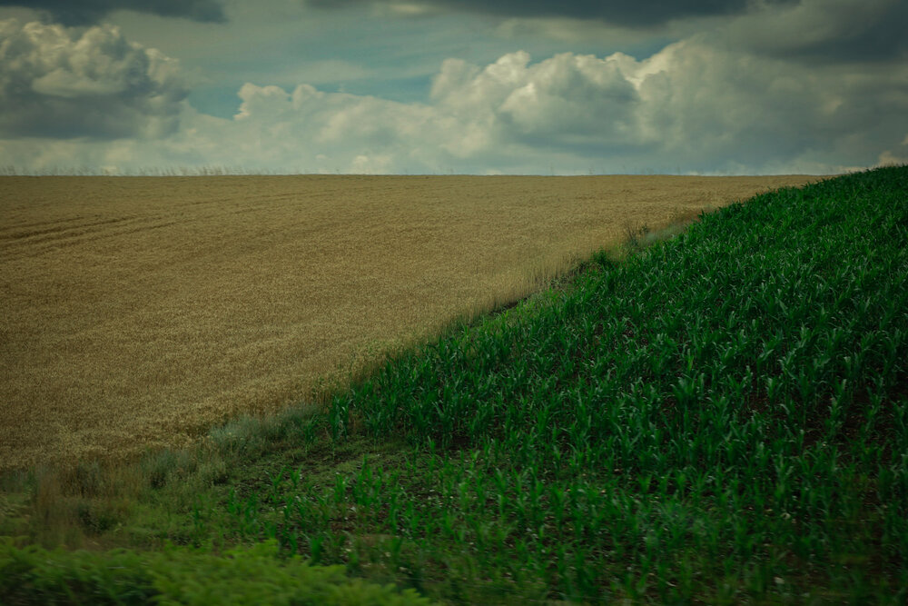 Photograph by Boyana Borisova