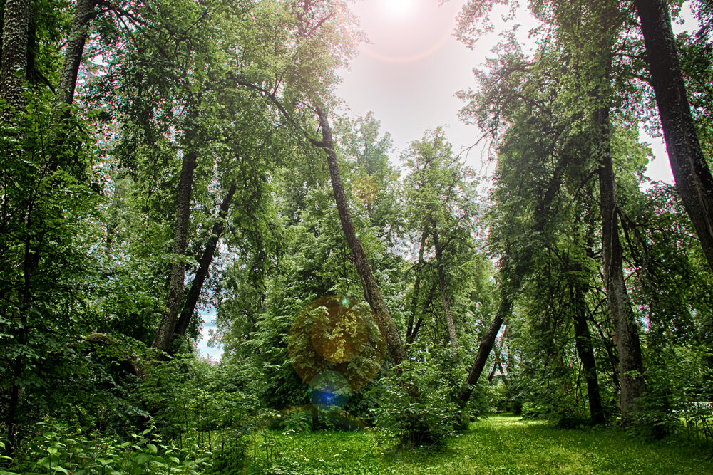 Photograph by KOREYSHA ILYA